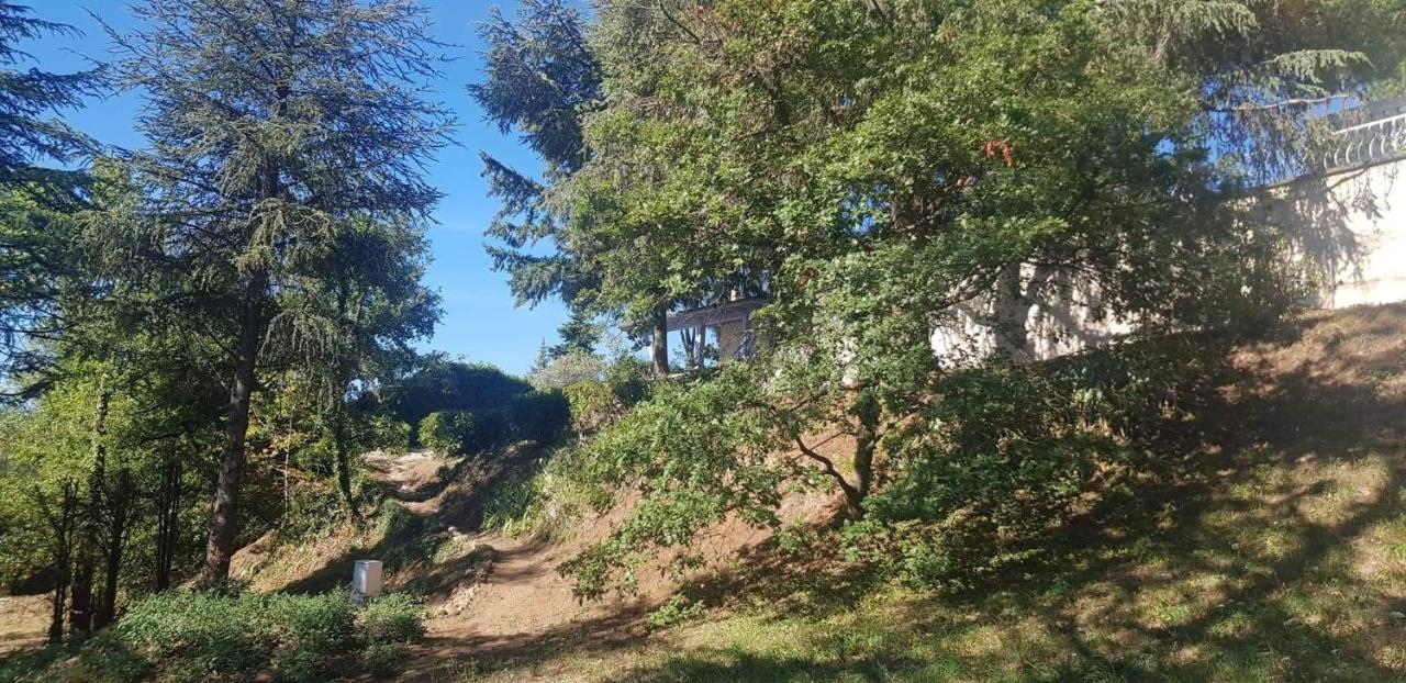 Saint-Jean-de-Muzols Tikazela - Domaine Ombre Et Lumiere B&B 외부 사진